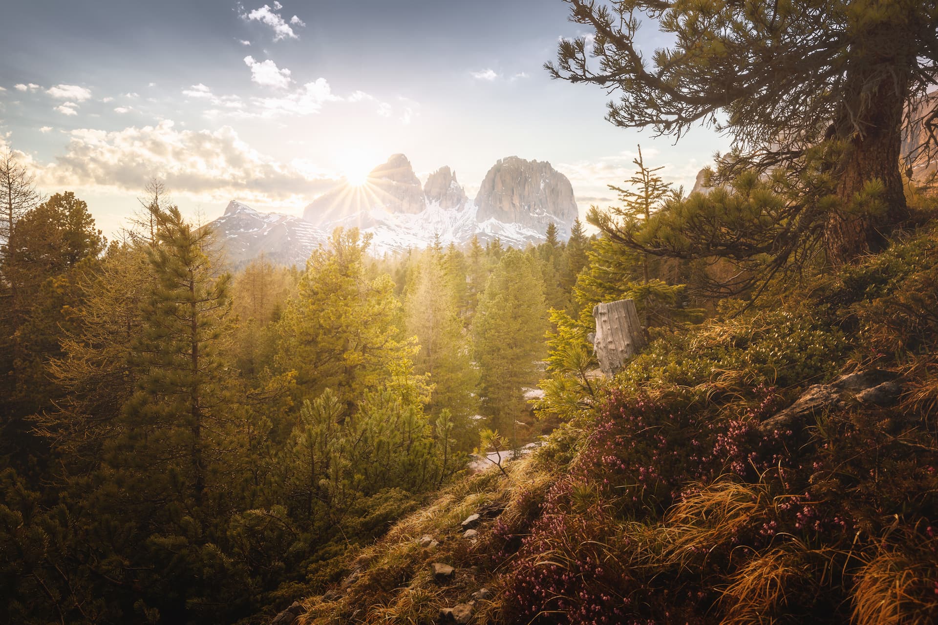 dolomiti