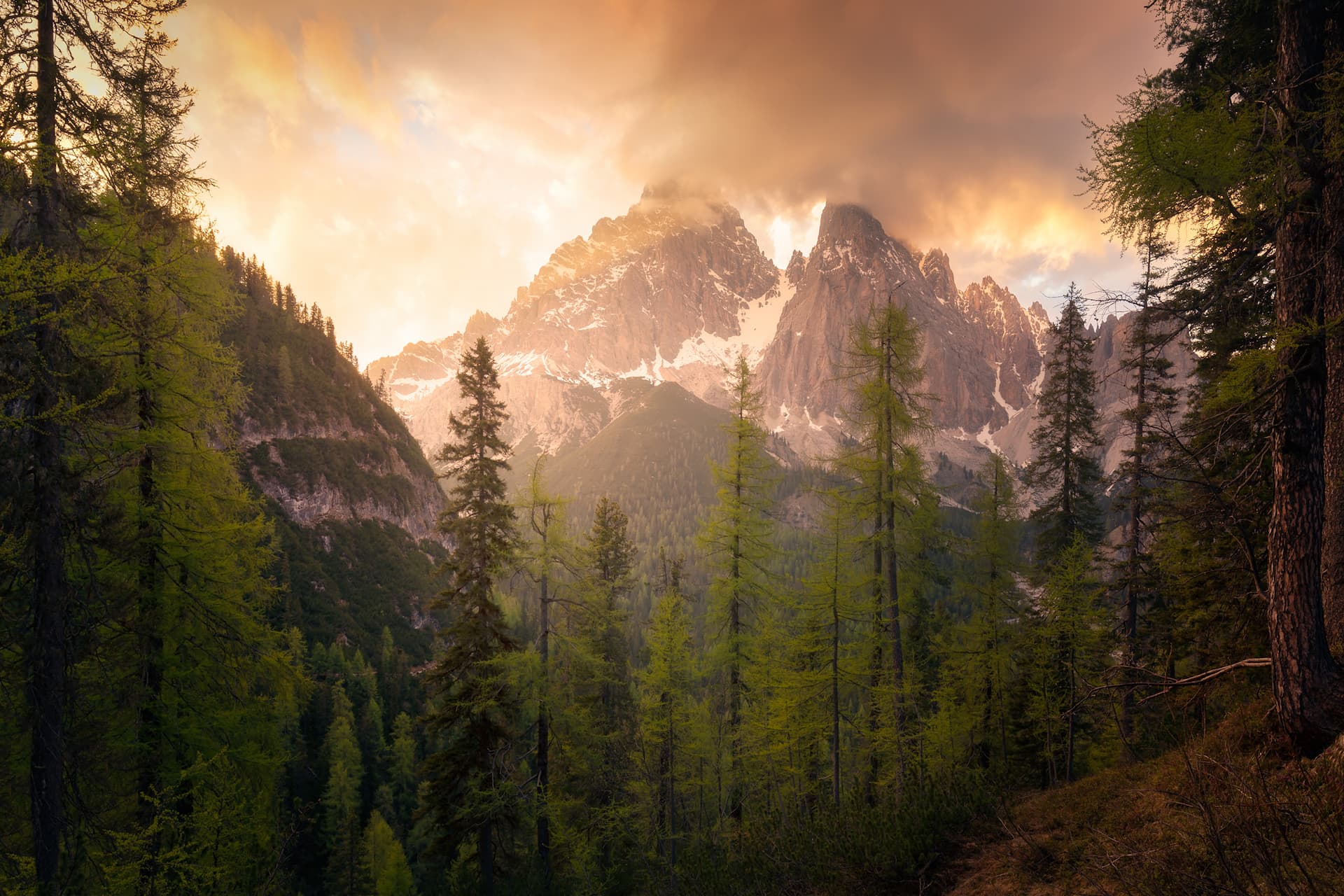 dolomiti