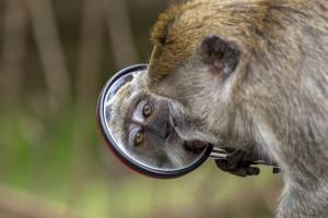 Homme et Nature (10)