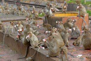 Homme et Nature (12)