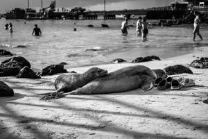 Cohabitation Unilatérale