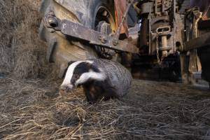 Homme et Nature (17)