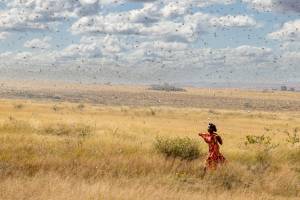 Homme et Nature (18)
