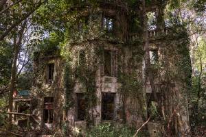 Homme et Nature (19)