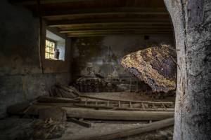 Homme et Nature (20)