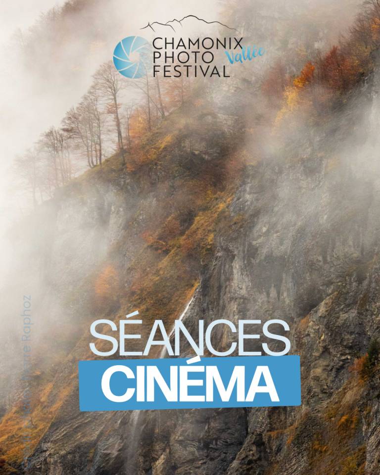 Les films du Festival